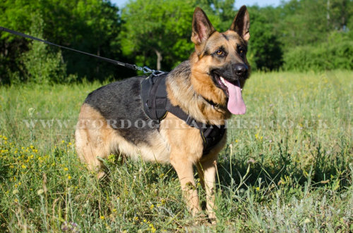 Dog Harness for Large German Shepherd